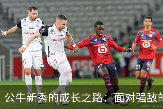 公牛新秀的成长之路：面对强敌的真实考验